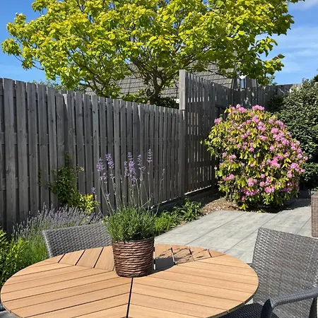 Cosy Nest Holiday home Noordwijk